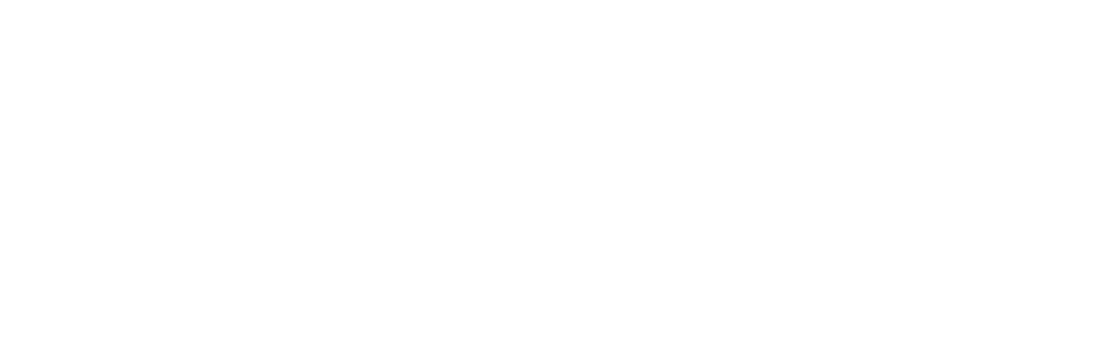 rokid