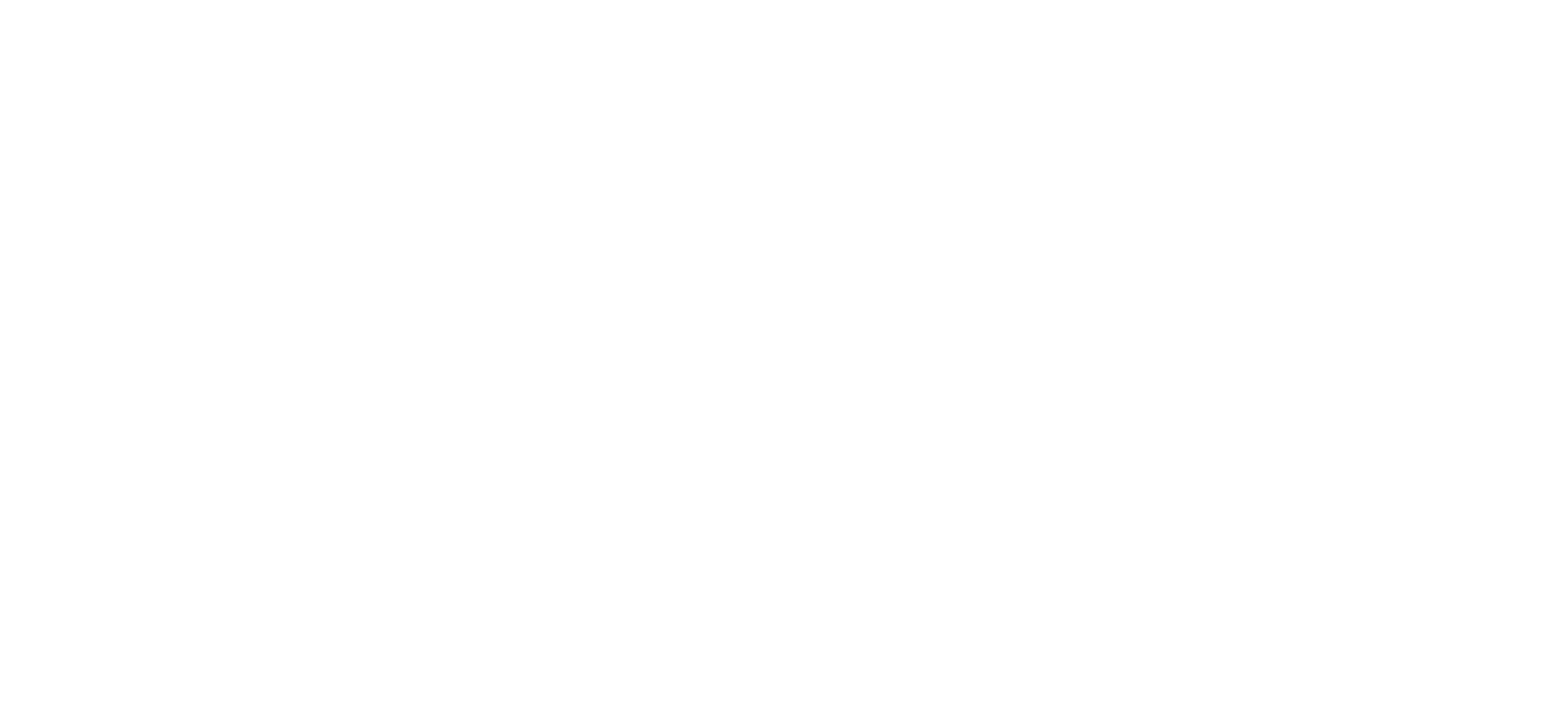 Bizsamurai